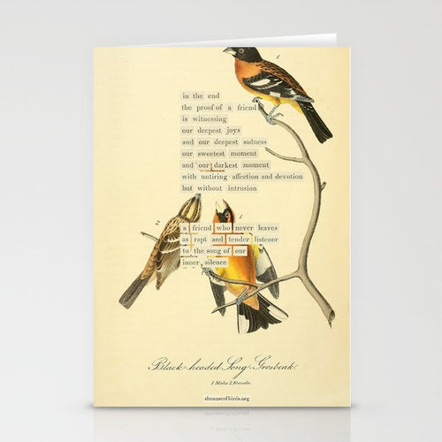 Bird Divinations: Black-Headed Song-Grosbeak (About: Almanacofbirds.Org)  Stationery Card Gallery Image 2