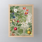 Sage Garden  Mini Art Print Gallery Image 1