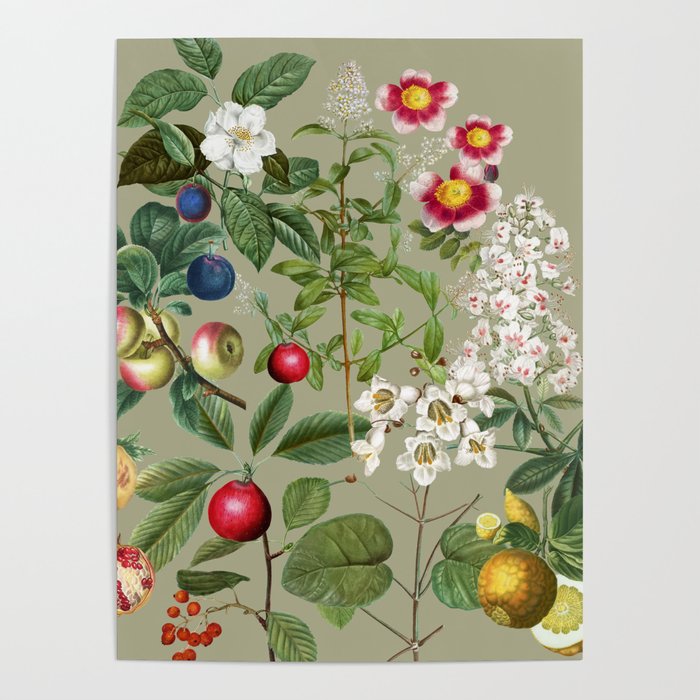 Sage Garden  Poster Gallery Image 4