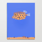 Box Fish Notebook Gallery Image 4