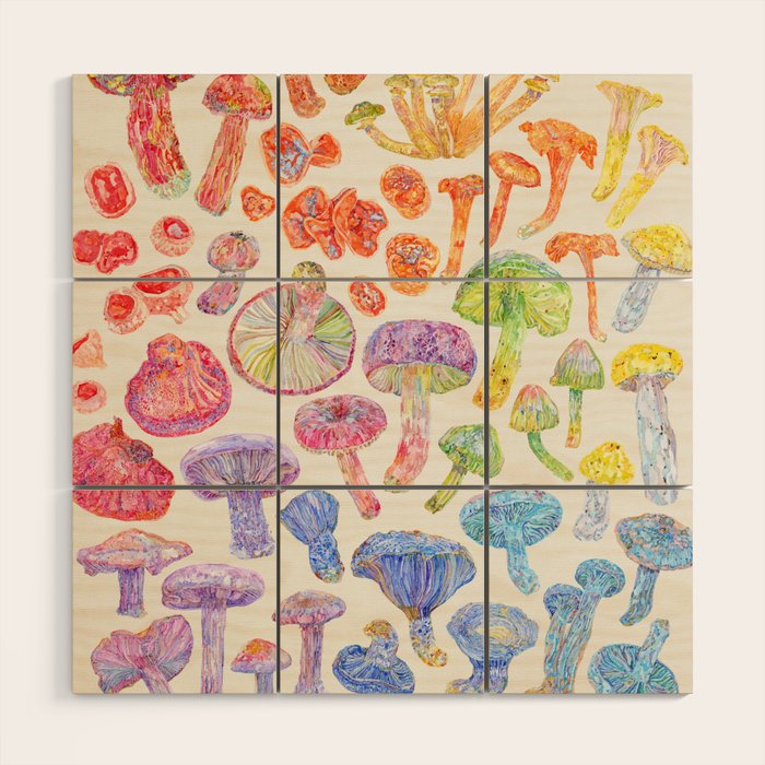 Wild Mushroom Rainbow - Neutral Wood Wall Art Gallery Image 1