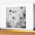 Whispers in Bloom I Wall Mural Gallery Image 2