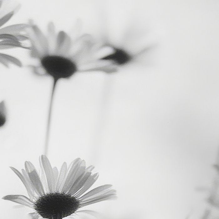 Whispers in Bloom I Coffee Mug Gallery Image 2