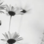 Whispers in Bloom I Coffee Mug Gallery Image 2