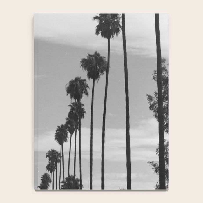 Vintage Black & White California Palm Trees Photo Notebook Gallery Image 4