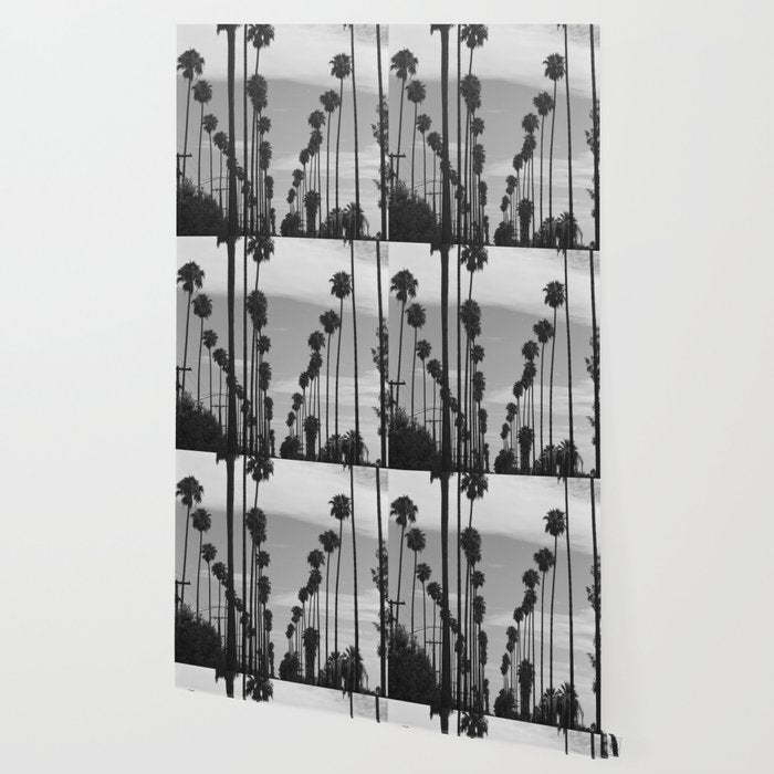 Vintage Black & White California Palm Trees Photo Wallpaper Gallery Image 2
