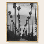 Vintage Black & White California Palm Trees Photo Serving Tray Gallery Image 1