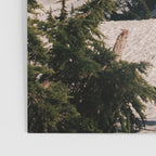 Mount Hood XI Poster Gallery Image 3