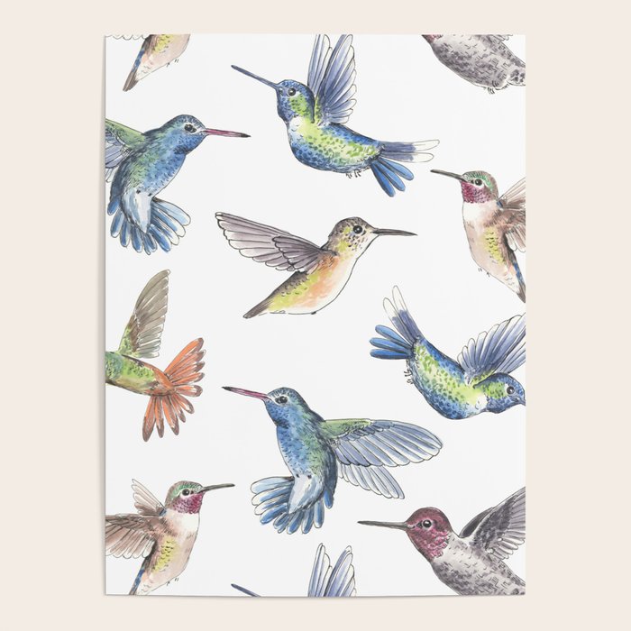 Hummingbirds Poster Gallery Image 1