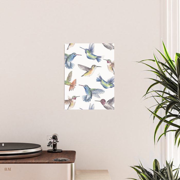 Hummingbirds Poster Gallery Image 2