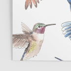 Hummingbirds Poster Gallery Image 3