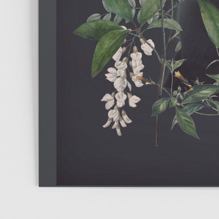 Garden Cat Poster Gallery Image 3