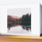 Chena Wall Mural Gallery Image 2