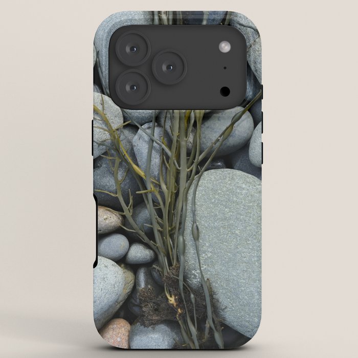 beach pebbles and seaweed - ocean art nature photograph maine iPhone Case Gallery Image 7