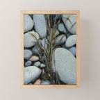 beach pebbles and seaweed - ocean art nature photograph maine Mini Art Print Gallery Image 1