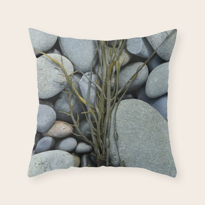 beach pebbles and seaweed - ocean art nature photograph maine Throw Pillow Gallery Image 6