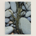 beach pebbles and seaweed - ocean art nature photograph maine Jigsaw Puzzle Gallery Image 1