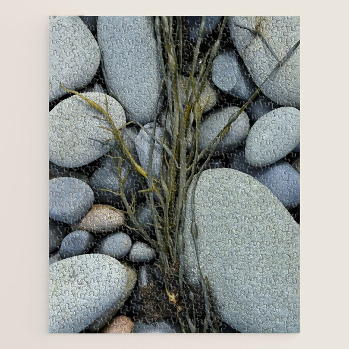 beach pebbles and seaweed - ocean art nature photograph maine Jigsaw Puzzle Gallery Image 1