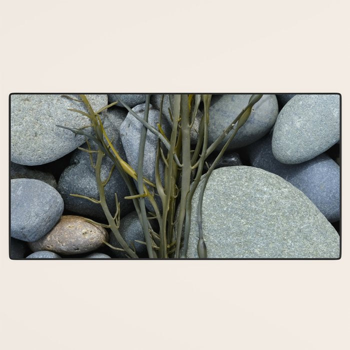 beach pebbles and seaweed - ocean art nature photograph maine Desk Mat Gallery Image 3