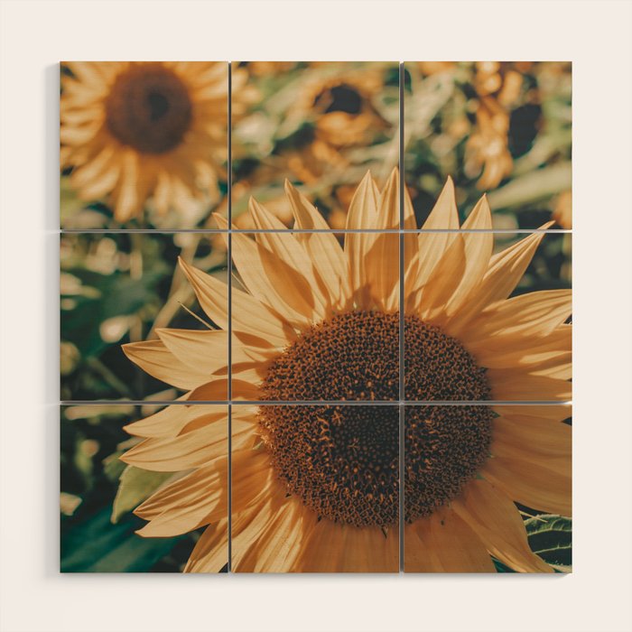 Happy Sunflower Field Wood Wall Art Gallery Image 1