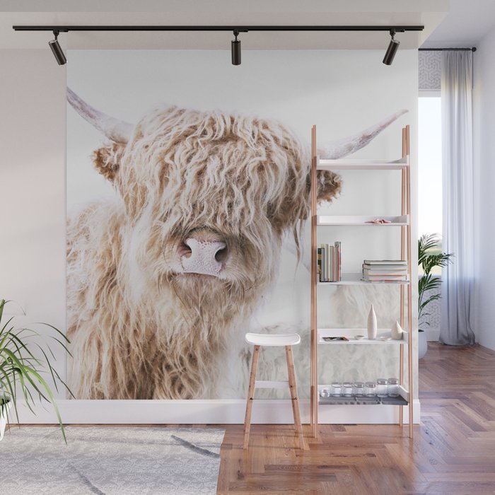 HIGHLAND CATTLE LULU Wall Mural Gallery Image 1