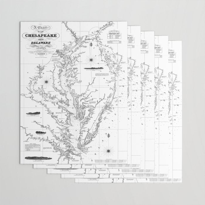 Chesapeake Bay & Delaware Bay Map Wrapping Paper Gallery Image 3
