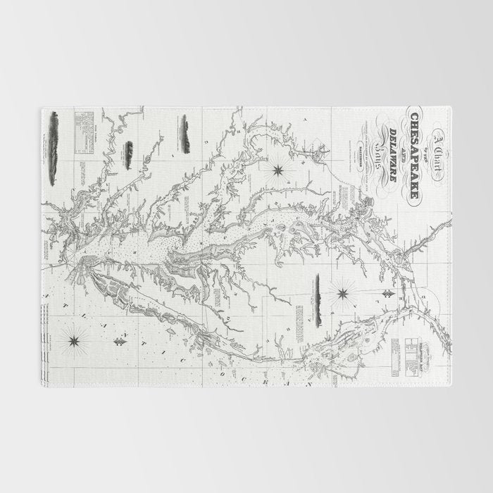 Chesapeake Bay & Delaware Bay Map Rug Gallery Image 2