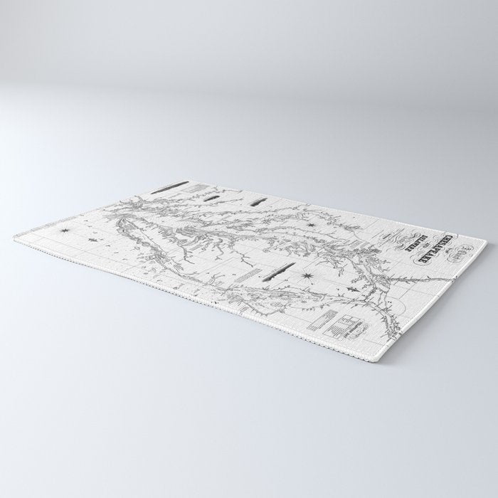 Chesapeake Bay & Delaware Bay Map Rug Gallery Image 3