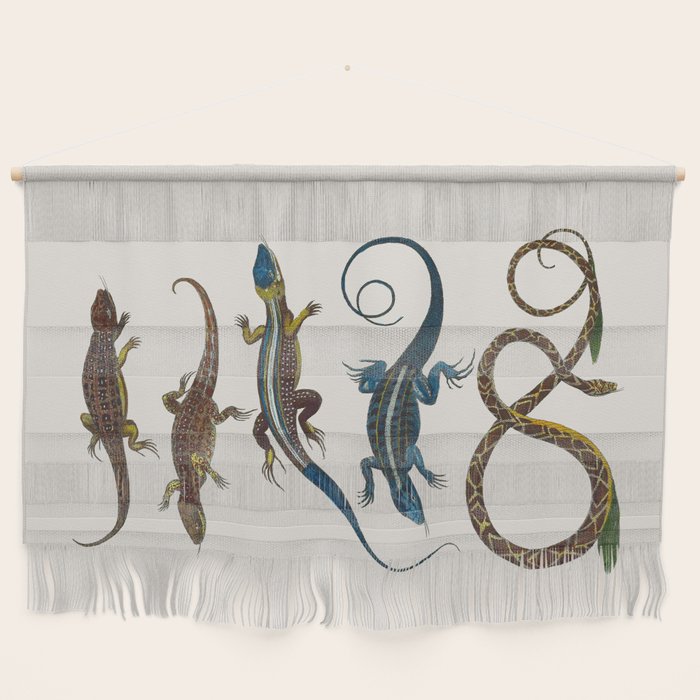 Albertus Seba Snakes And Lizards Blue Wall Hanging Gallery Image 1