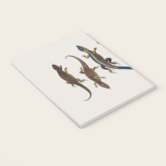 Albertus Seba Snakes And Lizards Blue Notebook Gallery Image 3
