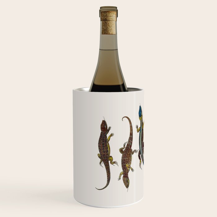 Albertus Seba Snakes And Lizards Blue Wine Chiller Gallery Image 2