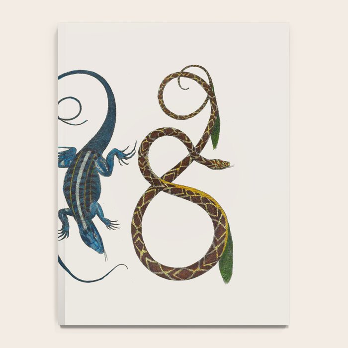 Albertus Seba Snakes And Lizards Blue Notebook Gallery Image 4
