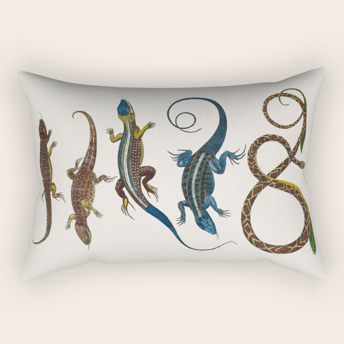 Albertus Seba Snakes And Lizards Blue Rectangular Pillow Gallery Image 1