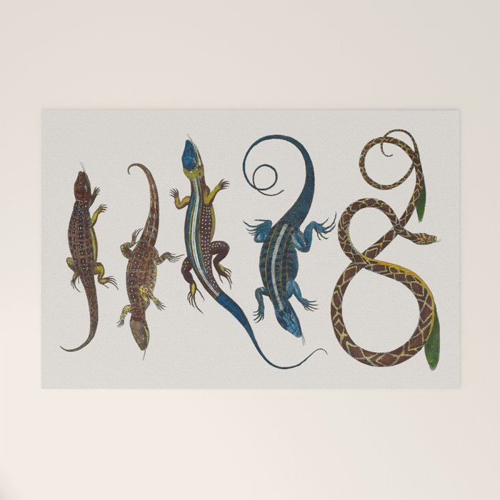 Albertus Seba Snakes And Lizards Blue Welcome Mat Gallery Image 1
