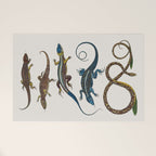 Albertus Seba Snakes And Lizards Blue Welcome Mat Gallery Image 1