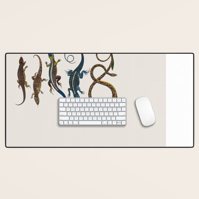 Albertus Seba Snakes And Lizards Blue Desk Mat Gallery Image 1