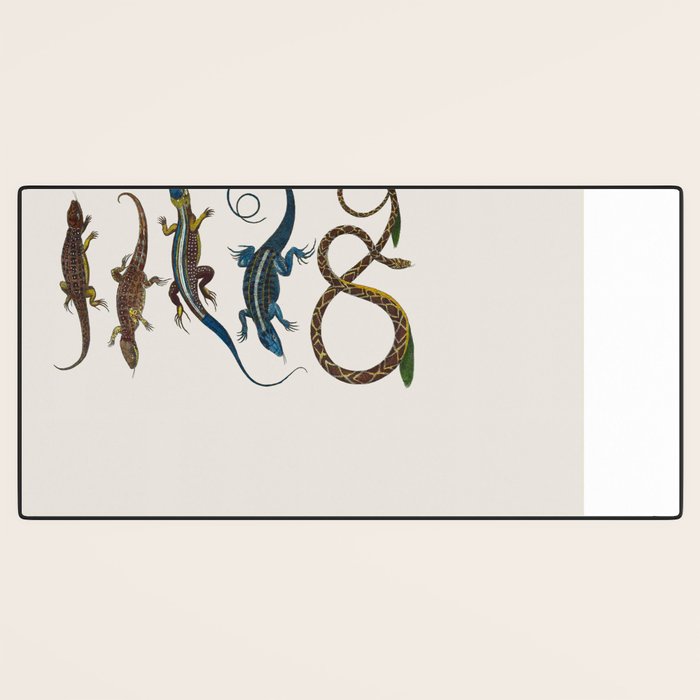 Albertus Seba Snakes And Lizards Blue Desk Mat Gallery Image 3