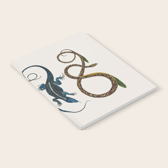 Albertus Seba Snakes And Lizards Blue Notebook Gallery Image 1