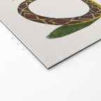 Albertus Seba Snakes And Lizards Blue Welcome Mat Gallery Image 2