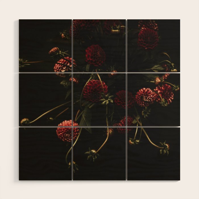 Flower Photography - Red Flowers - Dahlias - Elegant Dark Dramatic Floral print Wood Wall Art Gallery Image 1