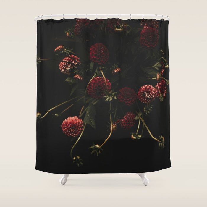 Flower Photography - Red Flowers - Dahlias - Elegant Dark Dramatic Floral print Shower Curtain Gallery Image 1