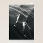 Dolphins II - BW Stationery Card Gallery Image 2
