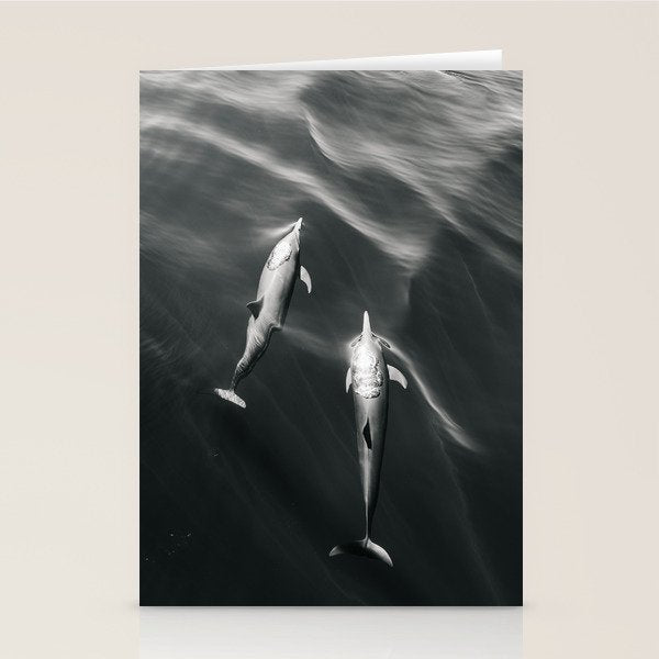 Dolphins II - BW Stationery Card