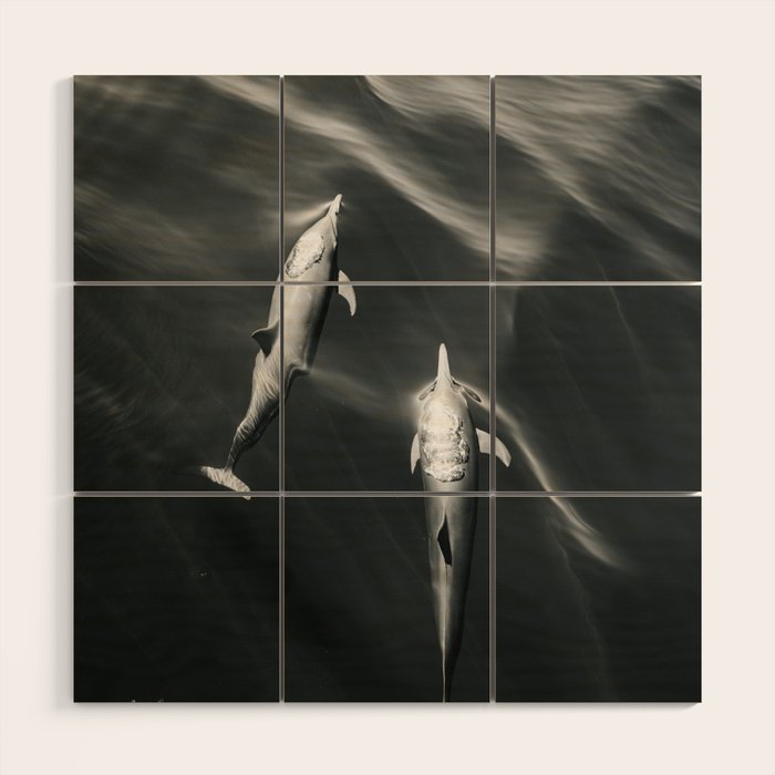 Dolphins II - BW Wood Wall Art Gallery Image 1