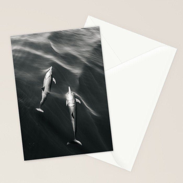 Dolphins II - BW Stationery Card Gallery Image 2