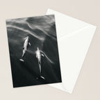 Dolphins II - BW Stationery Card Gallery Image 2