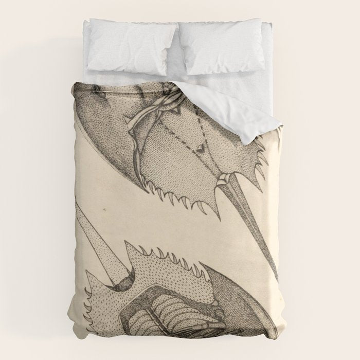 Horseshoe Crabs Duvet Cover Gallery Image 6