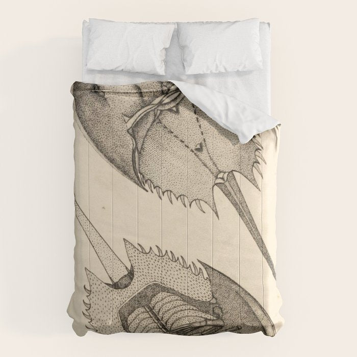 Horseshoe Crabs Comforter Gallery Image 1