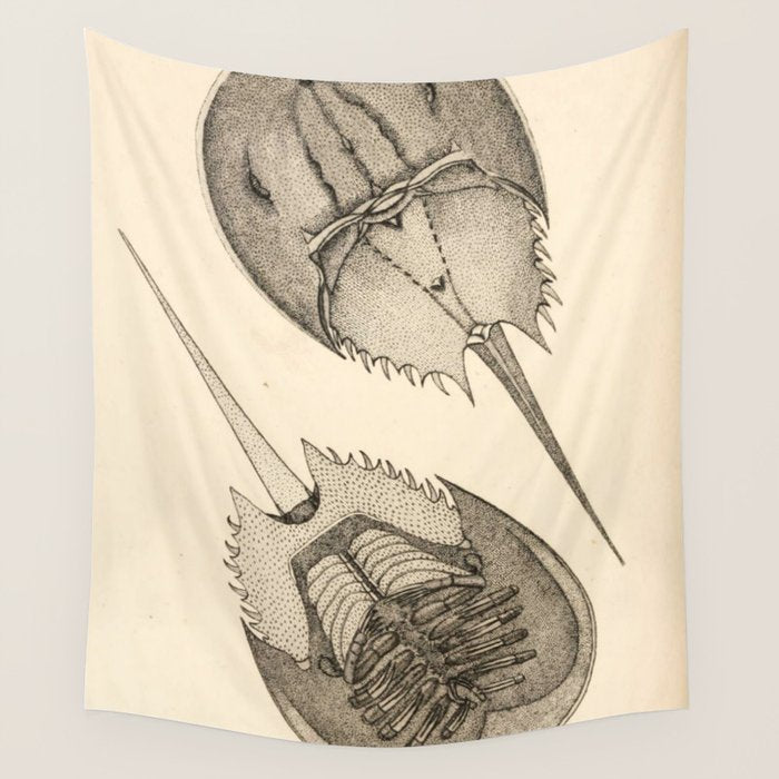 Horseshoe Crabs Wall Tapestry Gallery Image 4