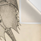 Horseshoe Crabs Wall Tapestry Gallery Image 3
